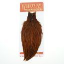 Whiting Hen Cape Brown