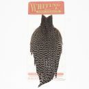 Whiting Hen Cape Grizzly