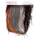 Whiting Introductory Hackle Pack - Four 1/2 Saddles All Colors, Mixed Combo