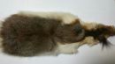 Squirrel Skin Pine