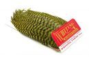 Whiting Bugger Pack Grizzly dyed Olive